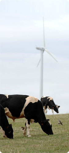 blarghour wind farm